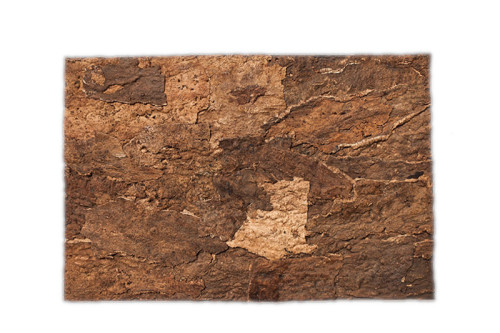 Płyta ścienna Cameleon