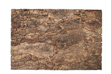 Pannello da parete Virgin