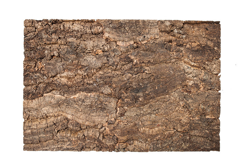 Pannello da parete Virgin